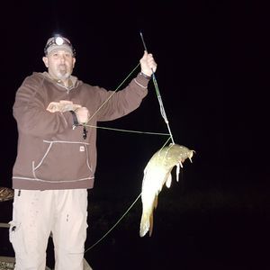 Meet your Posher, Brett